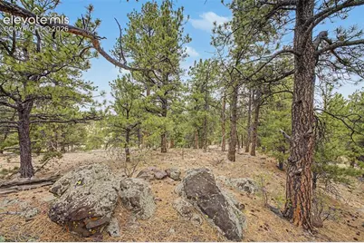 Tbd Ranger Station Road, Florissant, CO 80846 - Photo 21