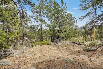 Tbd Ranger Station Road, Florissant, CO 80846 - Photo 23