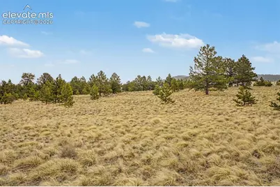 Ranger Station Road, Florissant, CO 80846 - Photo 15