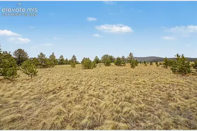 Tbd Ranger Station Road, Florissant, CO 80846 - Photo 15