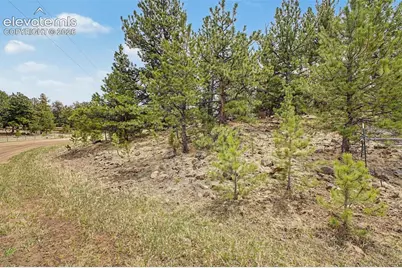 Tbd Ranger Station Road, Florissant, CO 80846 - Photo 25