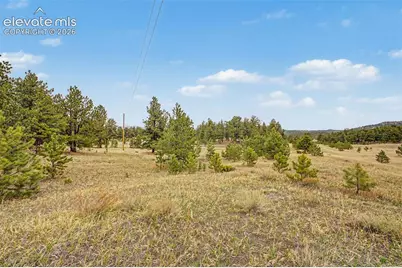 Tbd Ranger Station Road, Florissant, CO 80846 - Photo 19