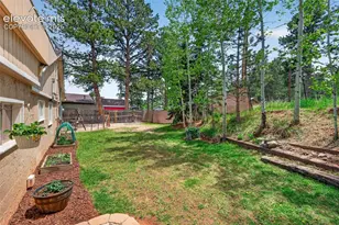 919 W Browning Ave, Woodland Park, CO 80863 - Photo 27