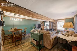 919 W Browning Ave, Woodland Park, CO 80863 - Photo 9