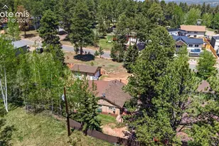 919 W Browning Ave, Woodland Park, CO 80863 - Photo 41