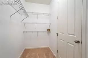 6530 Van Winkle Dr, Colorado Springs, CO 80923 - Photo 21