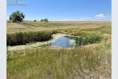 20655 County Road 101, Ramah, CO 80832 - Photo 15