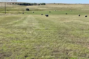 20655 Co Rd 101, Ramah, CO 80832 - Photo 25