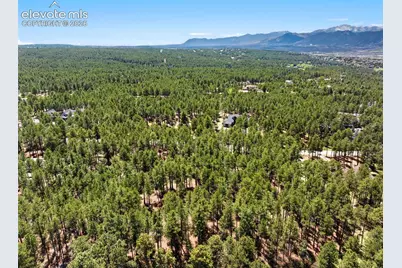 140 E Stirrup Trail, Monument, CO 80132 - Photo 21