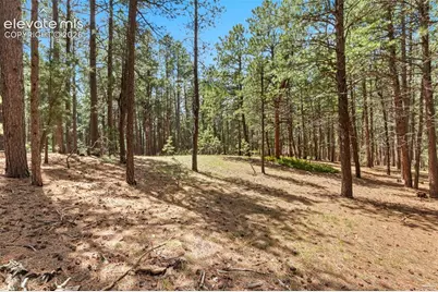 140 E Stirrup Trail, Monument, CO 80132 - Photo 13