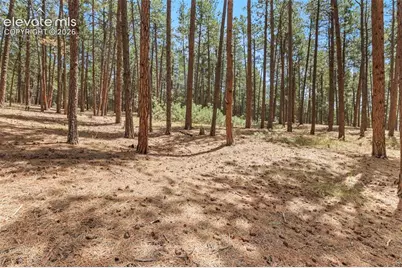 140 E Stirrup Trail, Monument, CO 80132 - Photo 11