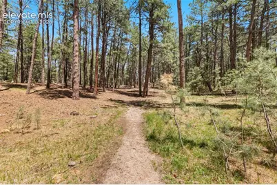 140 E Stirrup Trail, Monument, CO 80132 - Photo 17