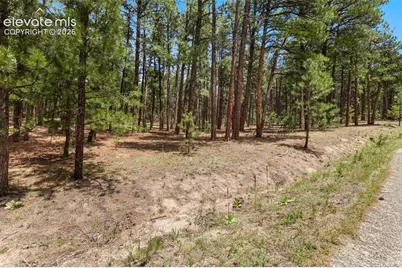 140 E Stirrup Trail, Monument, CO 80132 - Photo 7