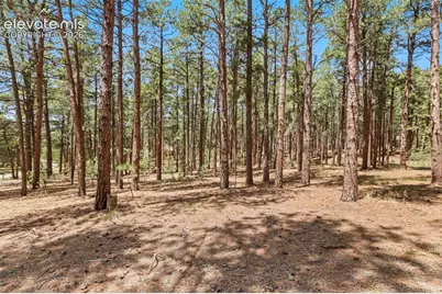140 E Stirrup Trail, Monument, CO 80132 - Photo 19