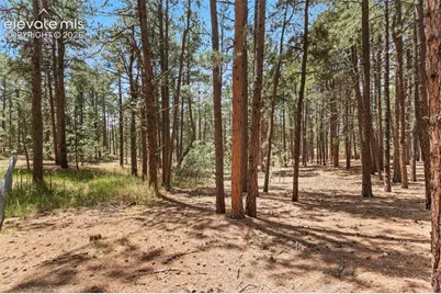 140 E Stirrup Trail, Monument, CO 80132 - Photo 15