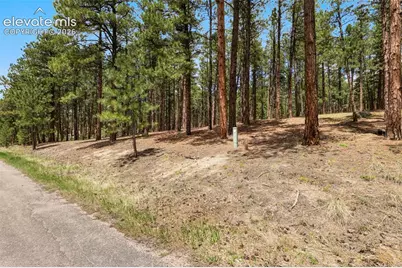 140 E Stirrup Trail, Monument, CO 80132 - Photo 5