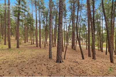 140 E Stirrup Trail, Monument, CO 80132 - Photo 9