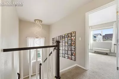 2614 Equine Court, Colorado Springs, CO 80922 - Photo 23