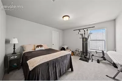 8412 Noreen Falls Drive, Colorado Springs, CO 80924 - Photo 33