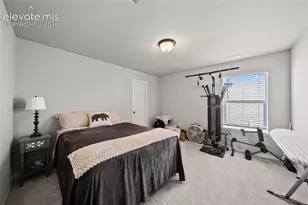 8412 Noreen Falls Dr, Colorado Springs, CO 80924 - Photo 33