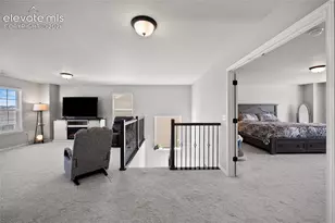 8412 Noreen Falls Dr, Colorado Springs, CO 80924 - Photo 21