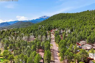 307 Evergreen St, Woodland Park, CO 80863 - Photo 39