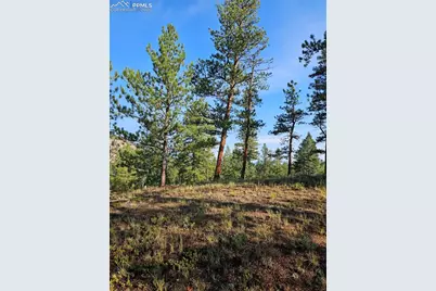 1117 Appleby Drive, Sedalia, CO 80135 - Photo 5