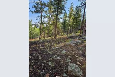 1117 Appleby Drive, Sedalia, CO 80135 - Photo 25