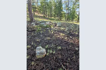 1117 Appleby Drive, Sedalia, CO 80135 - Photo 27