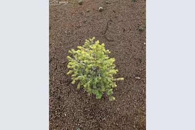 1117 Appleby Drive, Sedalia, CO 80135 - Photo 31