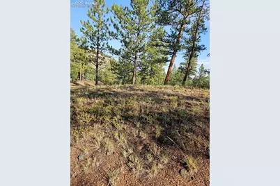 1117 Appleby Drive, Sedalia, CO 80135 - Photo 3