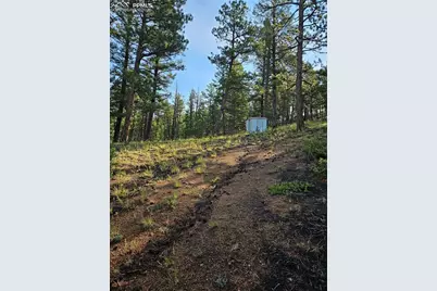 1117 Appleby Drive, Sedalia, CO 80135 - Photo 1