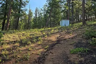 1117 Appleby Dr, Sedalia, CO 80135 - Photo 1