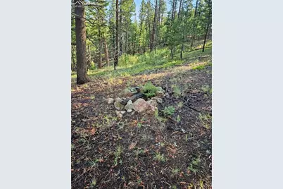 1117 Appleby Drive, Sedalia, CO 80135 - Photo 13