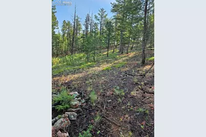 1117 Appleby Drive, Sedalia, CO 80135 - Photo 15