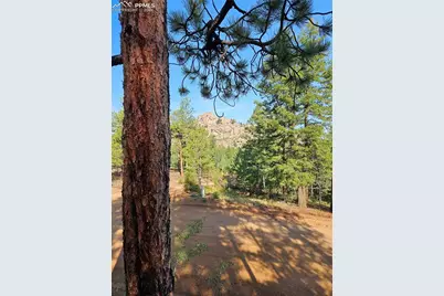 1117 Appleby Drive, Sedalia, CO 80135 - Photo 23