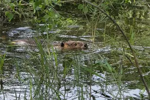 18461 Hwy 115, Penrose, CO 81240 - Photo 41