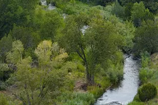 18461 Hwy 115, Penrose, CO 81240 - Photo 37