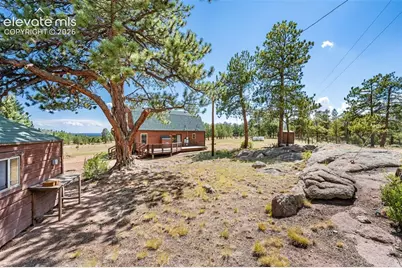 363 Arrowhead Drive, Florissant, CO 80816 - Photo 29