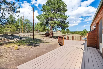 363 Arrowhead Drive, Florissant, CO 80816 - Photo 23
