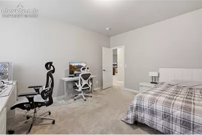 10398 Sharon Springs Drive, Colorado Springs, CO 80924 - Photo 29