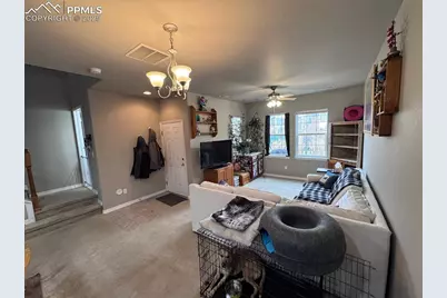 8856 Bella Flora Heights, Colorado Springs, CO 80924 - Photo 11