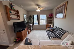 8856 Bella Flora Heights, Colorado Springs, CO 80924 - Photo 5