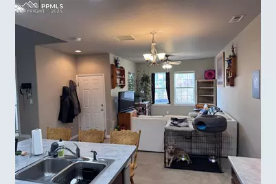 8856 Bella Flora Heights, Colorado Springs, CO 80924 - Photo 9