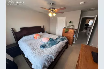 8856 Bella Flora Heights, Colorado Springs, CO 80924 - Photo 27