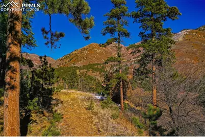 5330 Chipita Pines Drive, Cascade, CO 80809 - Photo 1