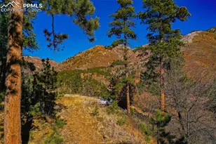 5330 Chipita Pines Dr, Cascade, CO 80809 - Photo 1