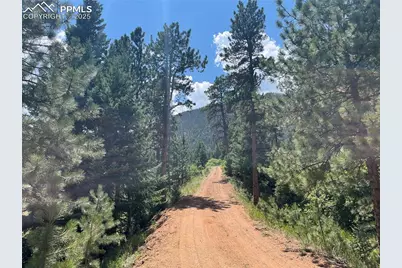 5330 Chipita Pines Drive, Cascade, CO 80809 - Photo 11