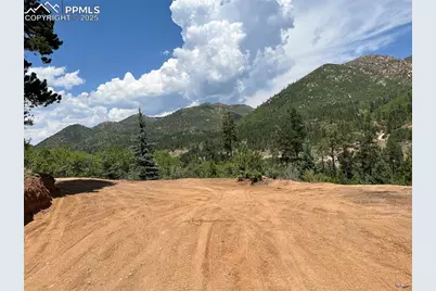 5330 Chipita Pines Drive, Cascade, CO 80809 - Photo 15