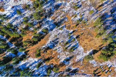 5330 Chipita Pines Drive, Cascade, CO 80809 - Photo 23